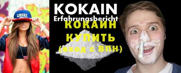 индика Пестово