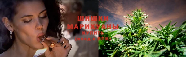 индика Пестово