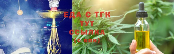 индика Пестово