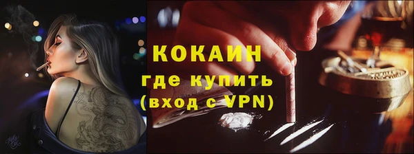 индика Пестово