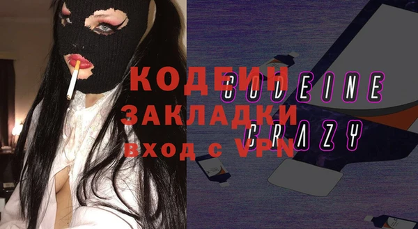индика Пестово