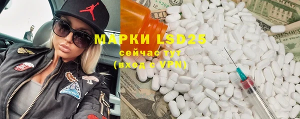 индика Пестово