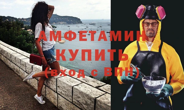индика Пестово