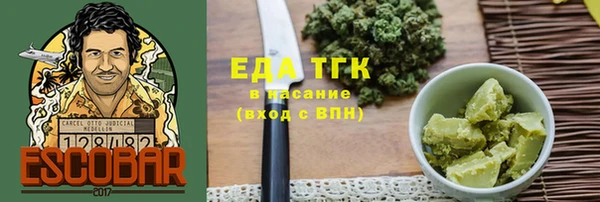 индика Пестово