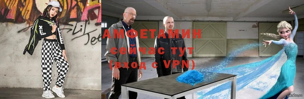 индика Пестово