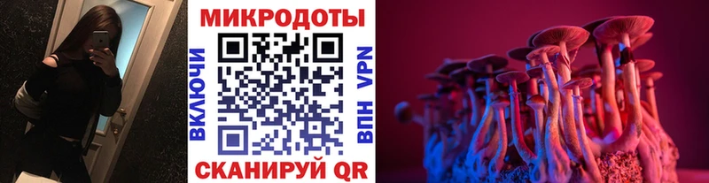 ссылка на мегу онион  Красноармейск  Псилоцибиновые грибы Psilocybine cubensis 
