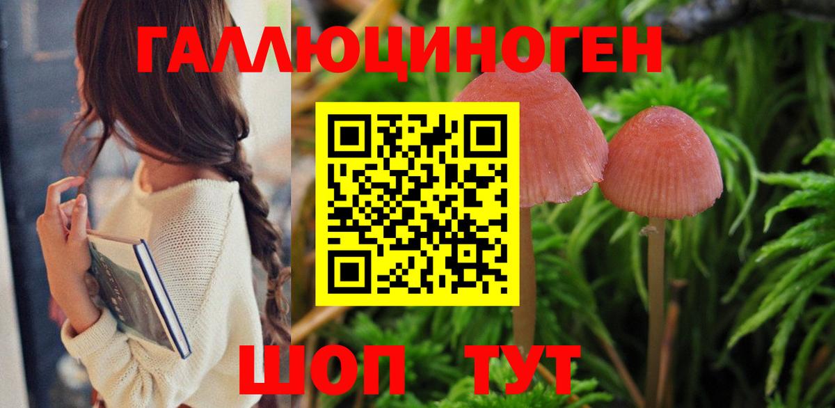 Галлюциногенные грибы ЛСД  Галлюциногенные грибы GOLDEN TEACHER  цена   Вход с VPN  Красноармейск 